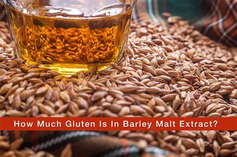 does barley malt extract have gluten.